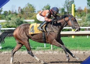 Fountain Of Youth Commandment Step Onto Kentucky Derby Trail