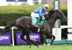 2025 Breeders' Cup Turf Betting Picks