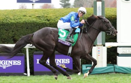 2025 Breeders' Cup Turf Betting Picks