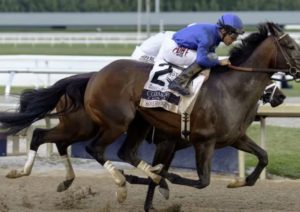 2025 Breeders' Cup Classic Futures