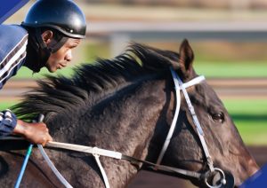 Pegasus World Cup Tappan Street Kick Off Big Year
