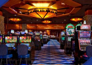 california betting news november 2025