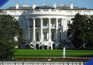 politics betting trump cabinet departures